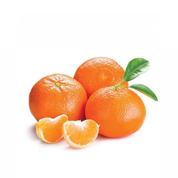 Mandarins Clementino Nova 